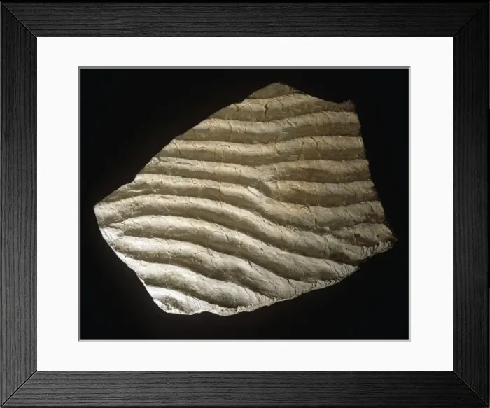 Framed Print : Ripple marks Framed Print : Ripple marks