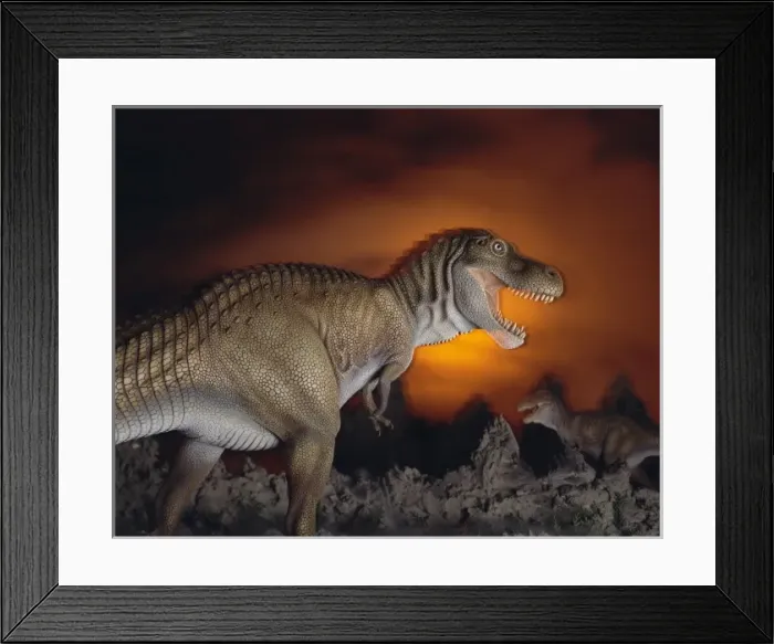 Framed Print : Tyrannosaurus rex Framed Print : Tyrannosaurus rex