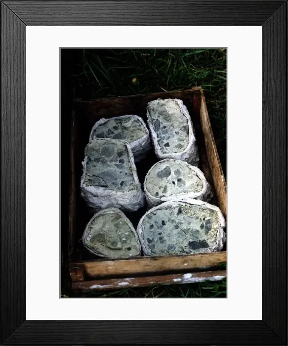 Framed Print : 380 million year old rocks Framed Print : 380 million year old rocks