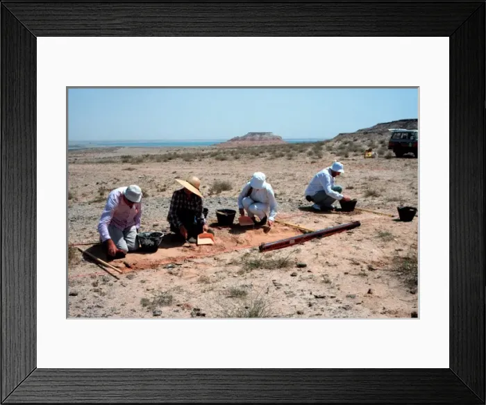 Framed Print : 6 million year old fossils Framed Print : 6 million year old fossils
