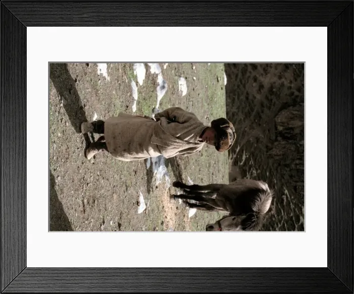 Framed Print : Tibetan horse minder Framed Print : Tibetan horse minder