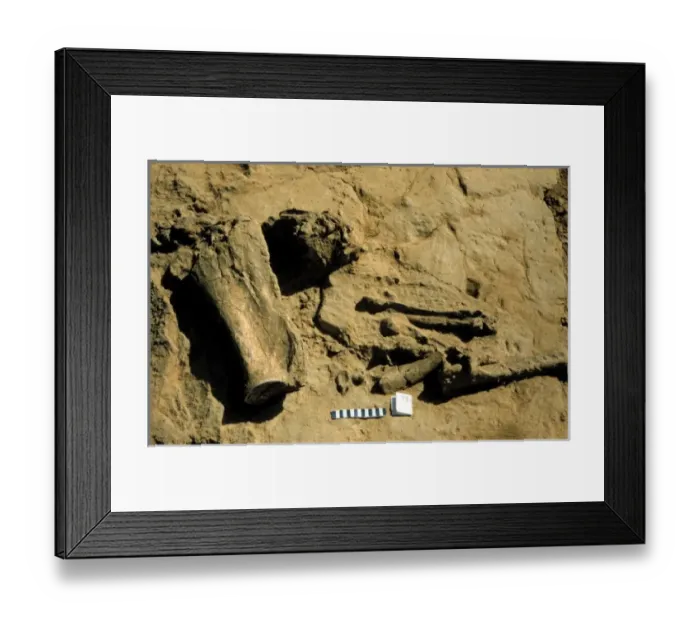 Framed Print : Excavations, Pakistan Framed Print : Excavations, Pakistan