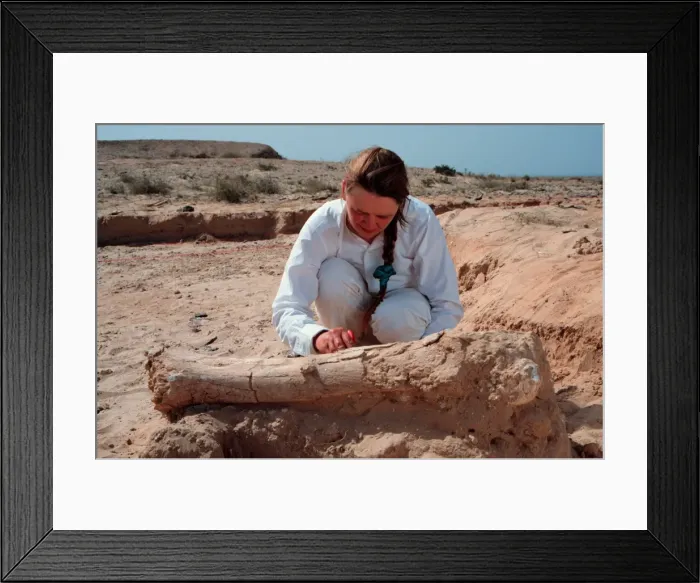 Framed Print : Excavations, Abu Dhabi Framed Print : Excavations, Abu Dhabi