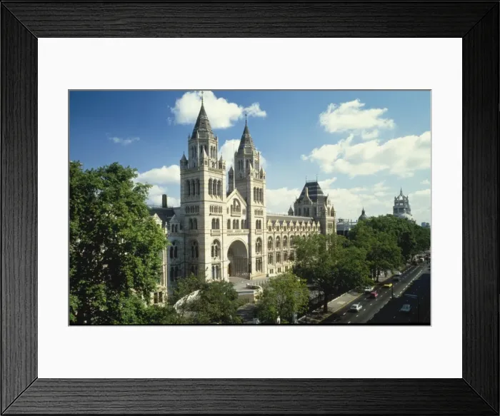 Framed Print : The Natural History Museum, London Framed Print : The Natural History Museum, London