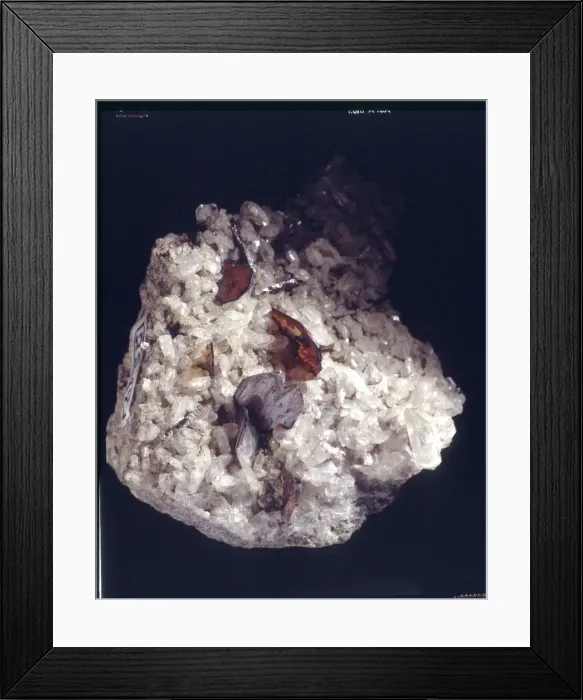 Framed Print : Brookite. A specimen of the mineral brookite (titanium oxide) from Tremadoc wales Framed Print : Brookite. A specimen of the mineral brookite (titanium oxide) from Tremadoc wales