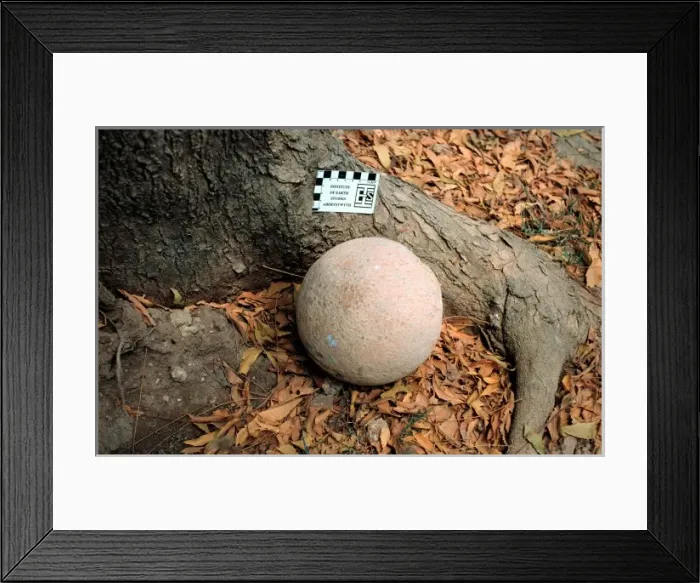 Framed Print : Dinosaur egg Framed Print : Dinosaur egg