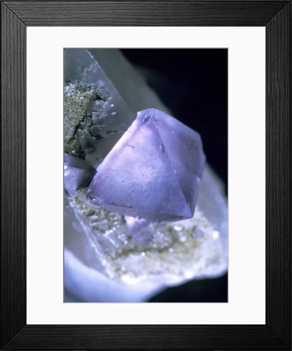 Framed Print : Fluorite. 6mm octahedral purple crystal on calcite collected from the Smith Vein, 1987 Framed Print : Fluorite. 6mm octahedral purple crystal on calcite collected from the Smith Vein, 1987