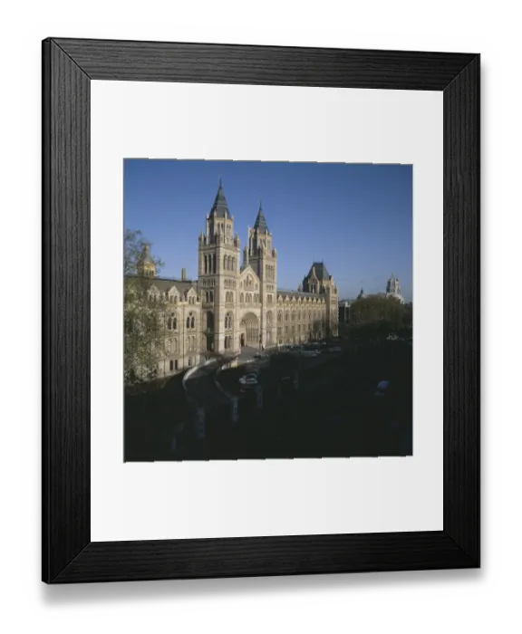Framed Print : The Natural History Museum, London Framed Print : The Natural History Museum, London