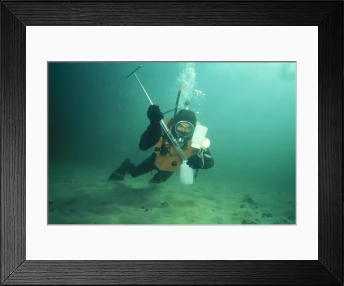 Framed Print : Collecting nematode worms Framed Print : Collecting nematode worms