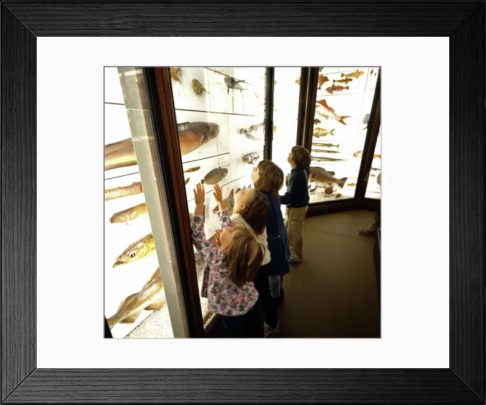 Framed Print : Tring Gallery 3