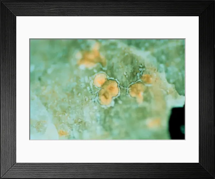 Framed Print : Carbonate. The formation of carbonate on the Allan Hills martian meteorite ALH84001 Framed Print : Carbonate. The formation of carbonate on the Allan Hills martian meteorite ALH84001