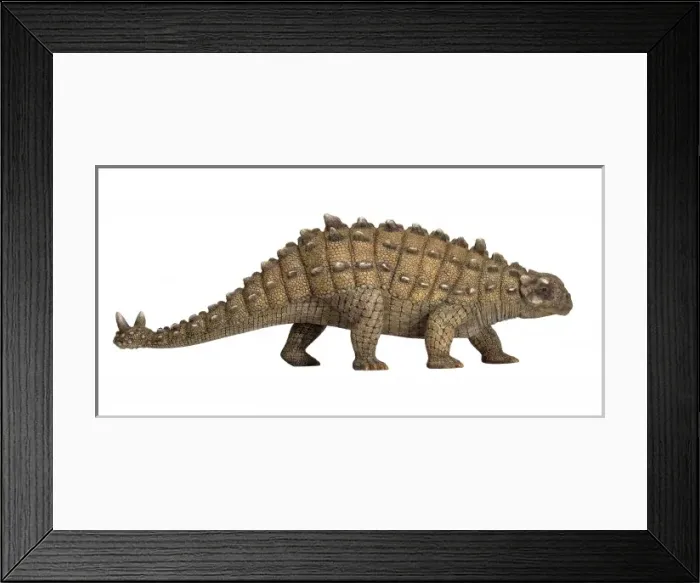 Framed Print : Euoplocephalus Framed Print : Euoplocephalus