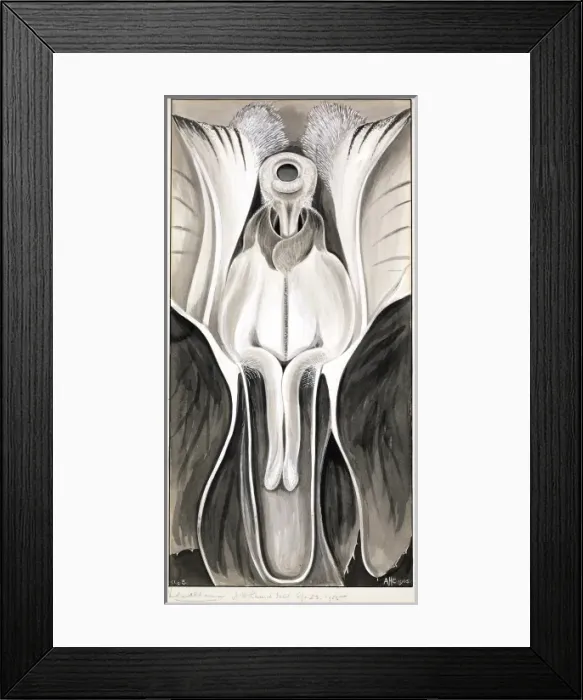 Framed Print : Violaeoides Framed Print : Violaeoides