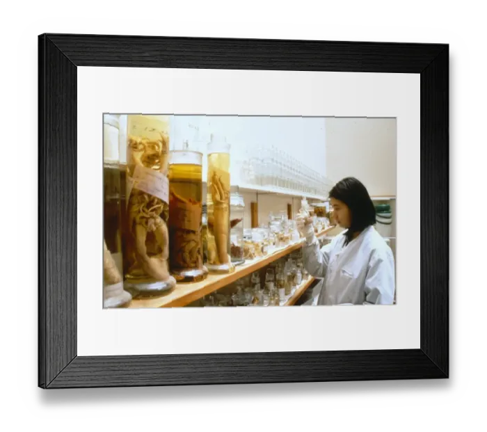 Framed Print : Zoology specimens Framed Print : Zoology specimens
