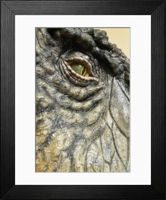 Framed Print : Tyrannosaurus rex Framed Print : Tyrannosaurus rex