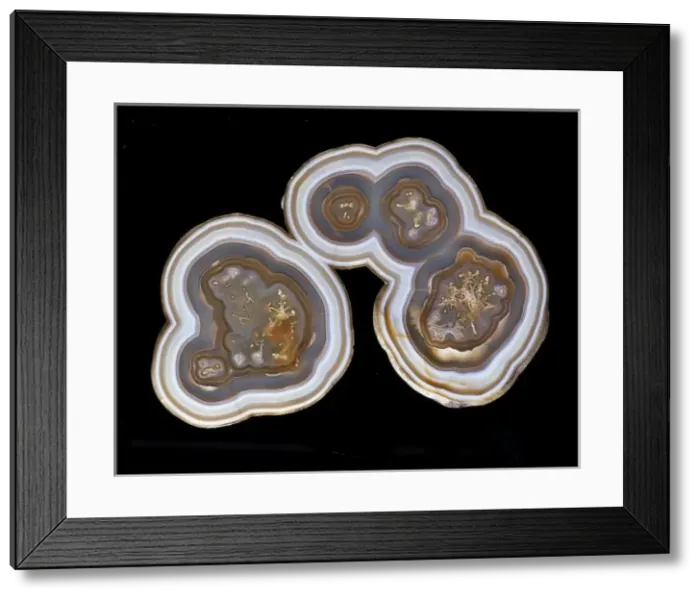 Framed Print : Agate. A cut and polished section of brown banded agate from Brazil Framed Print : Agate. A cut and polished section of brown banded agate from Brazil