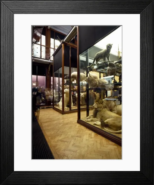 Framed Print : The Natural History Museum at Tring Framed Print : The Natural History Museum at Tring