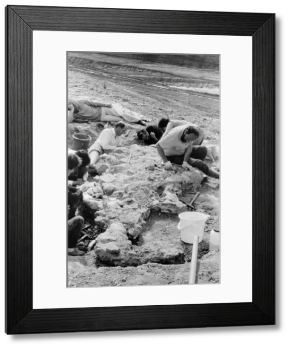 Framed Print : Baryonyx excavation, 1983 Framed Print : Baryonyx excavation, 1983