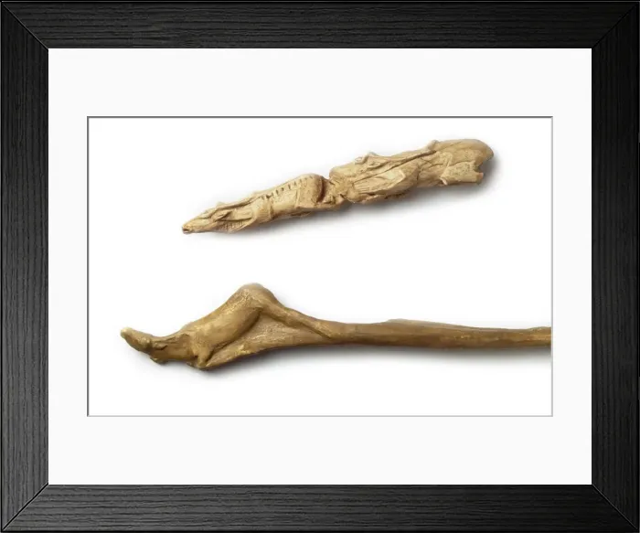 Framed Print : Upper Palaeolithic carvings 11 - 18, 000 years old Framed Print : Upper Palaeolithic carvings 11 - 18, 000 years old