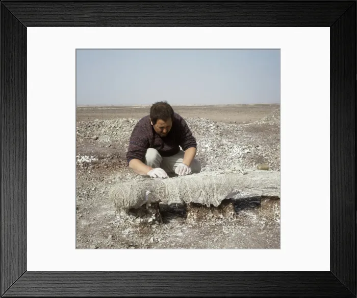 Framed Print : Dinosaur excavation, Niger 1988 Framed Print : Dinosaur excavation, Niger 1988