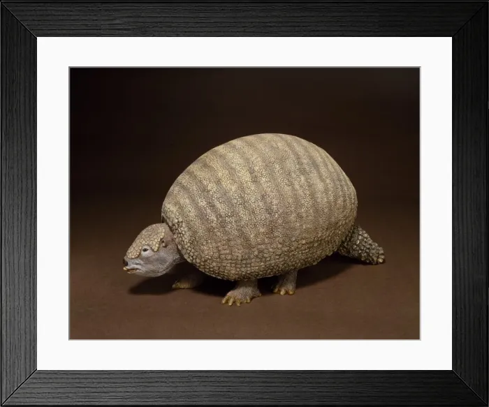Framed Print : Glyptodon, giant armadillo Framed Print : Glyptodon, giant armadillo