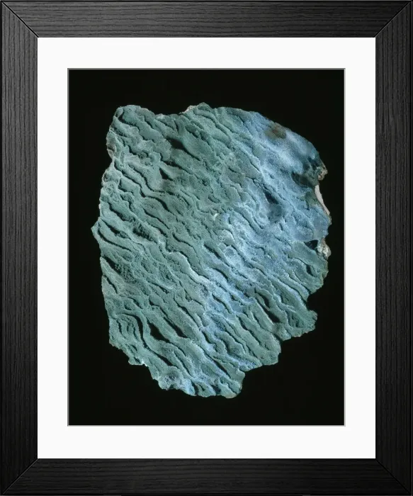 Framed Print : Brochantite Framed Print : Brochantite