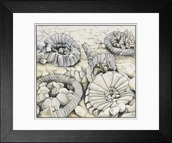 Framed Print : Coccoliths magnified a thousand times Framed Print : Coccoliths magnified a thousand times