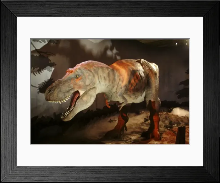 Framed Print : Tyrannosaurus rex Framed Print : Tyrannosaurus rex