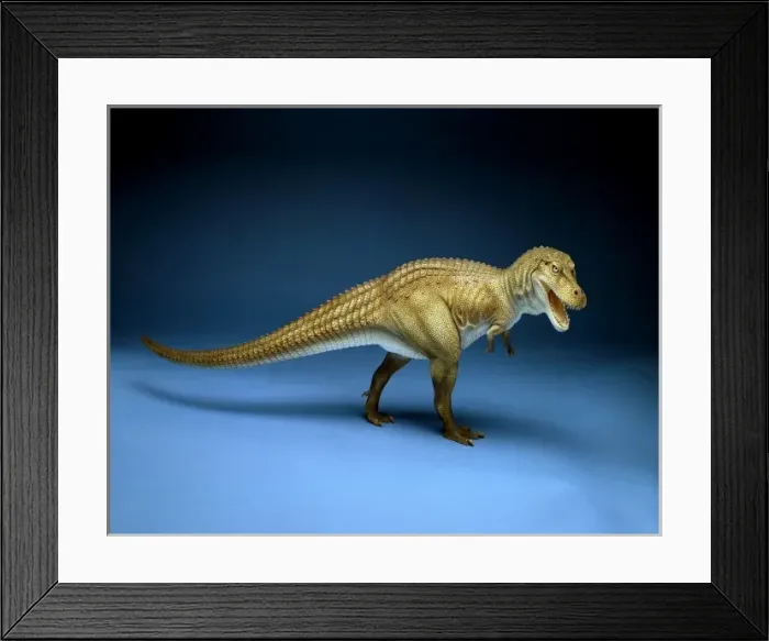 Framed Print : Tyrannosaurus rex Framed Print : Tyrannosaurus rex