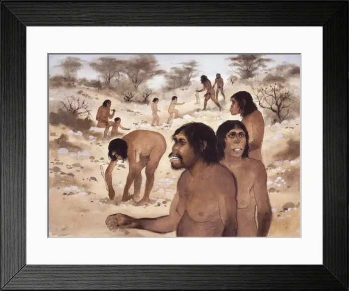 Framed Print : Homo habilis in action Framed Print : Homo habilis in action