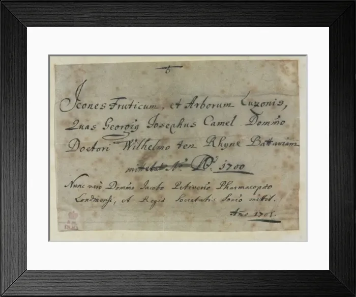 Framed Print : Note from Descriptiones Fruticum et Arborum Luzonis Framed Print : Note from Descriptiones Fruticum et Arborum Luzonis