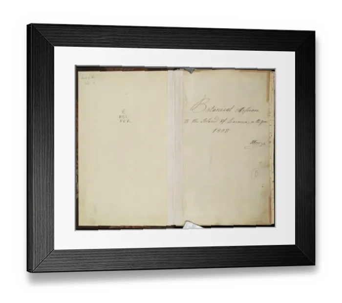 Framed Print : Botanical Mission to the Island of Luconia in the Year 1803 Framed Print : Botanical Mission to the Island of Luconia in the Year 1803