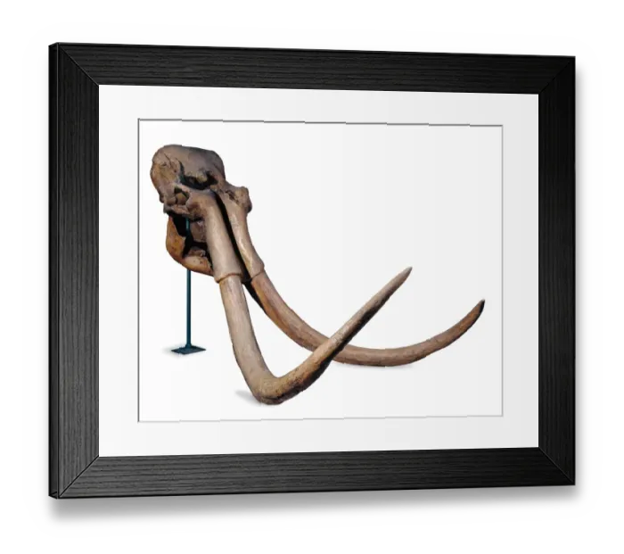 Framed Print : Mammuthus trogontherii, steppe mammoth Framed Print : Mammuthus trogontherii, steppe mammoth
