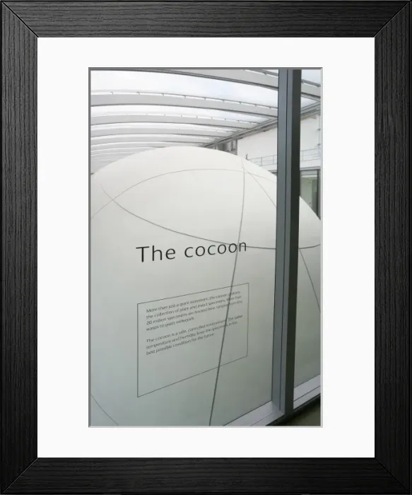 Framed Print : The Darwin Centre at the Natural History Museum, London Framed Print : The Darwin Centre at the Natural History Museum, London