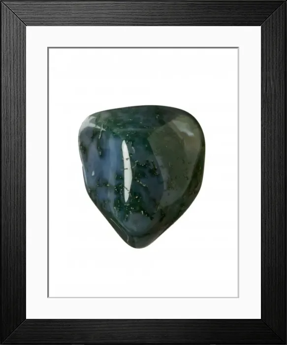 Framed Print : Agate moss Framed Print : Agate moss