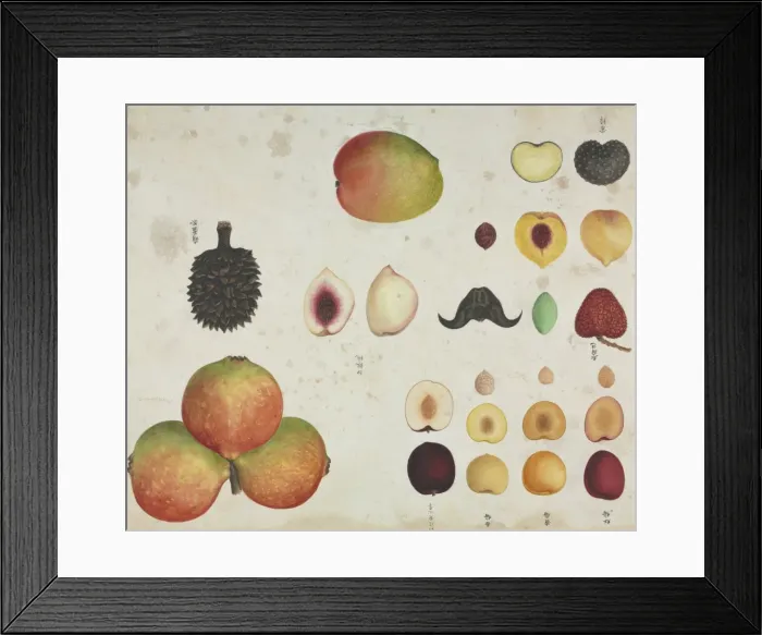 Framed Print : Various fruits Framed Print : Various fruits