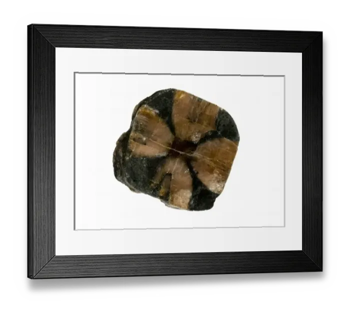 Framed Print : Chiastolite Framed Print : Chiastolite