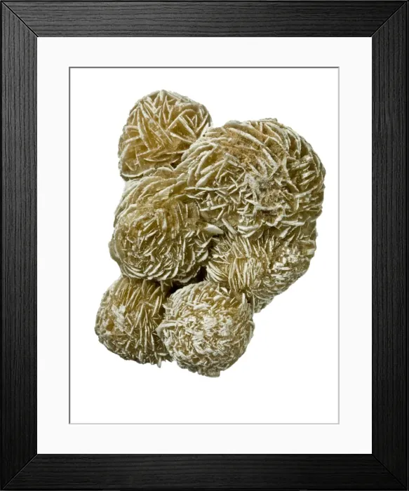 Framed Print : Desert rose Framed Print : Desert rose