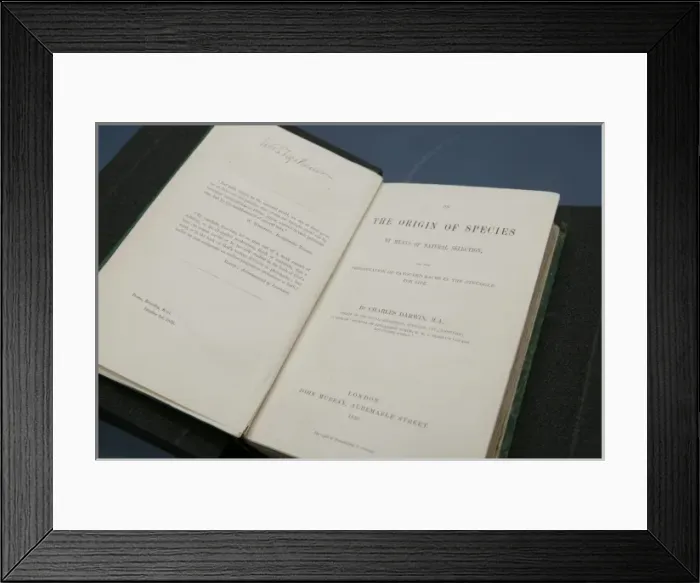 Framed Print : The Origin of Species by Charles Darwin Framed Print : The Origin of Species by Charles Darwin