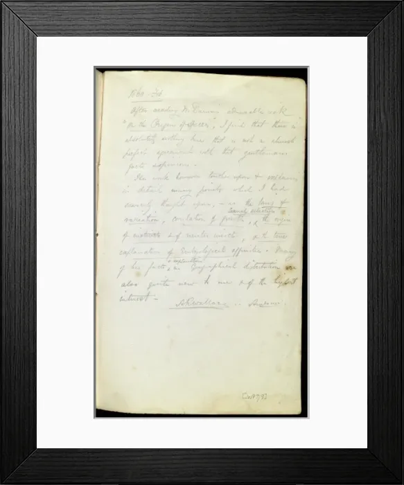 Framed Print : The Darwin and Wallace joint paper, dated 1858 Framed Print : The Darwin and Wallace joint paper, dated 1858