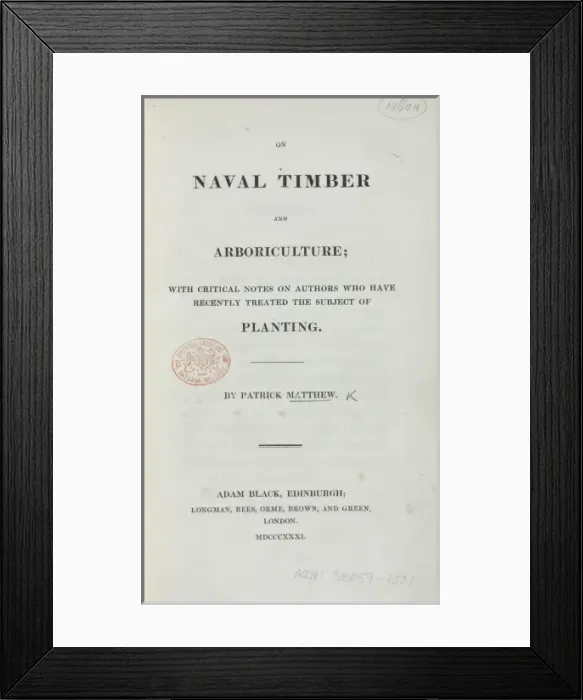 Framed Print : On Naval Timber and Arboriculture by Patrick Matthew - title Framed Print : On Naval Timber and Arboriculture by Patrick Matthew - title