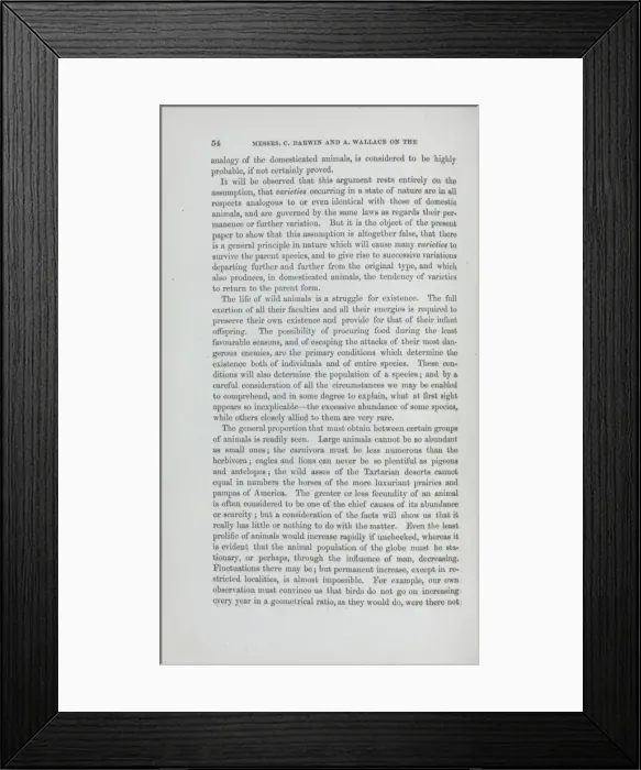Framed Print : Page 54 from the Journal of the Proceedings of the Linnean S Framed Print : Page 54 from the Journal of the Proceedings of the Linnean S
