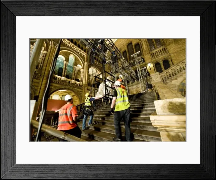 Framed Print : Moving the Darwin statue Framed Print : Moving the Darwin statue