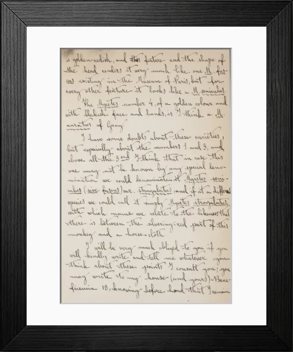 Framed Print : Cabrera-Thomas letter - page 4 Framed Print : Cabrera-Thomas letter - page 4