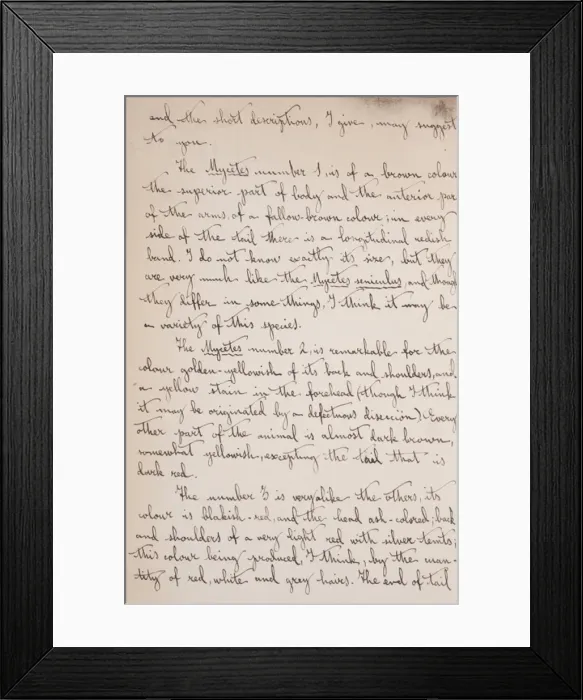 Framed Print : Cabrera-Thomas letter - page 3 Framed Print : Cabrera-Thomas letter - page 3