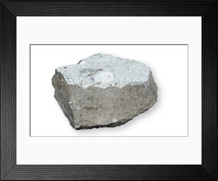 Framed Print : The Bustee aubrite Framed Print : The Bustee aubrite