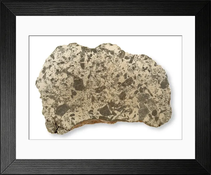 Framed Print : Slab of the Lueders meteorite Framed Print : Slab of the Lueders meteorite