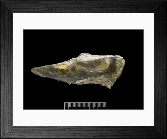 Framed Print : Flint hand axe Framed Print : Flint hand axe