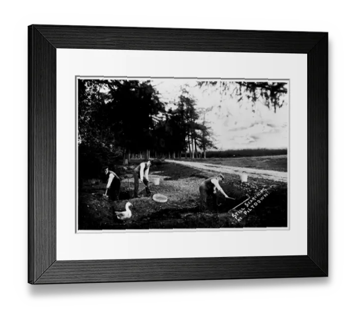 Framed Print : Still Searching At Piltdown Framed Print : Still Searching At Piltdown