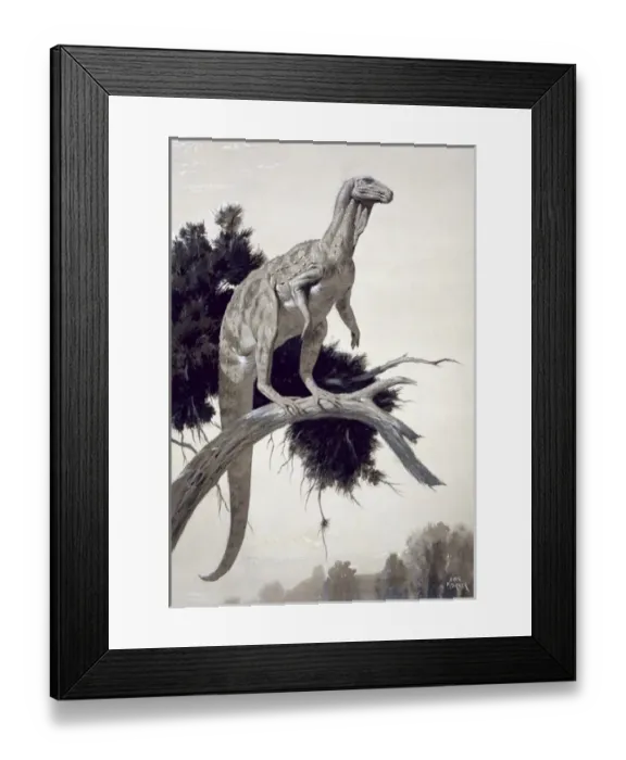 Framed Print : Hypsilophodon Framed Print : Hypsilophodon
